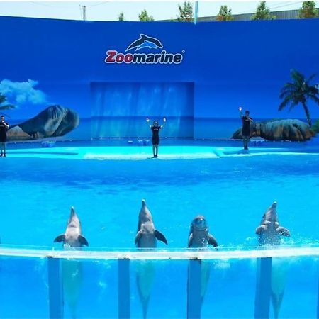 Casa Citrus Limao - Between The Hills & The Ocean ซิลเวส ภายนอก รูปภาพ