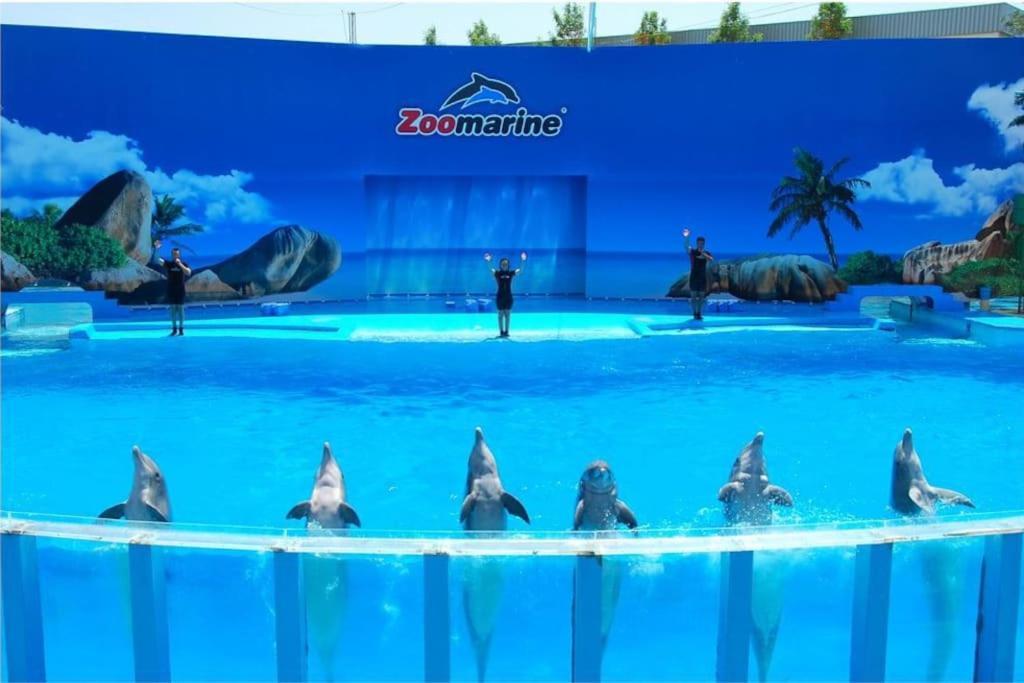 Casa Citrus Limao - Between The Hills & The Ocean ซิลเวส ภายนอก รูปภาพ