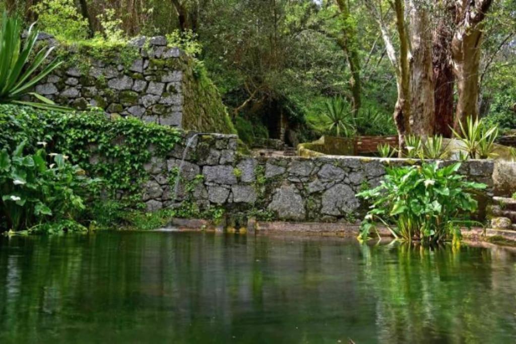 Casa Citrus Limao - Between The Hills & The Ocean ซิลเวส ภายนอก รูปภาพ