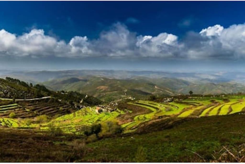 Casa Citrus Limao - Between The Hills & The Ocean ซิลเวส ภายนอก รูปภาพ
